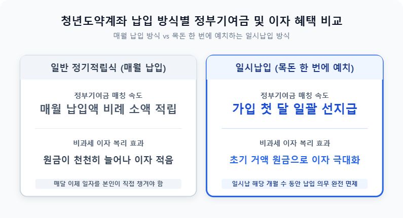 2026년 청년도약계좌 일시납입 조건 및 정부기여금 인포그래픽